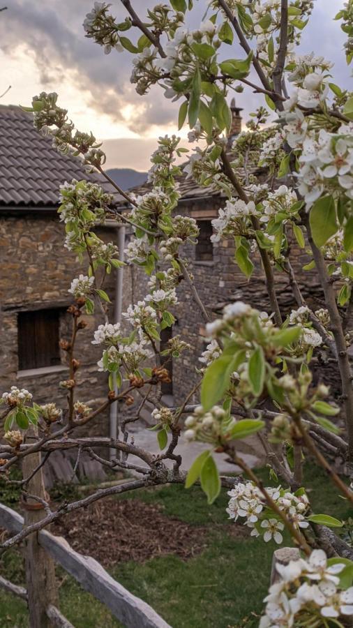 Casa Rural Petricor, Ordesa Vio Exterior photo